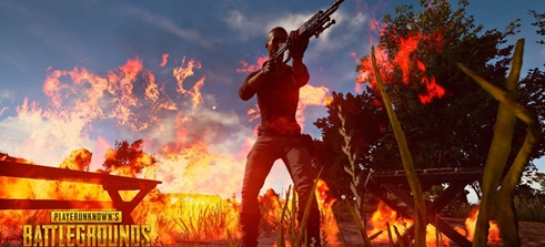 鸟权优势 鸟权优势